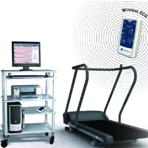 TMT.4-min TMT.4-min